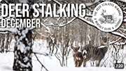 December - Everything you need to know | Deer Stalkers Almanac=