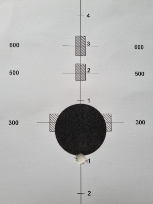 Bisley Rifle Target