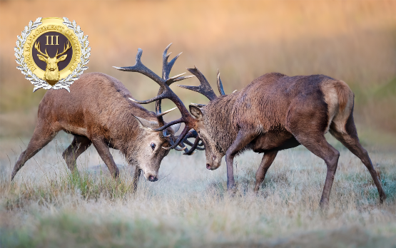 DMC3 Deer Management