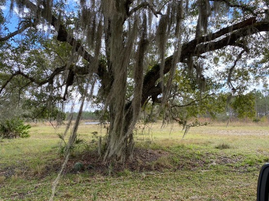 Florida Hunting 