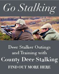 Go Stalking Advert 1