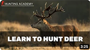 How To Start Deer Stalking 180px