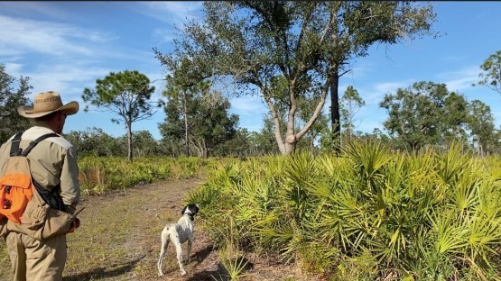 Hunting in Florida 