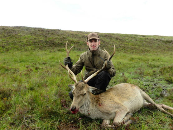 MR Highland Red Stag