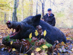 Medal Boar 150