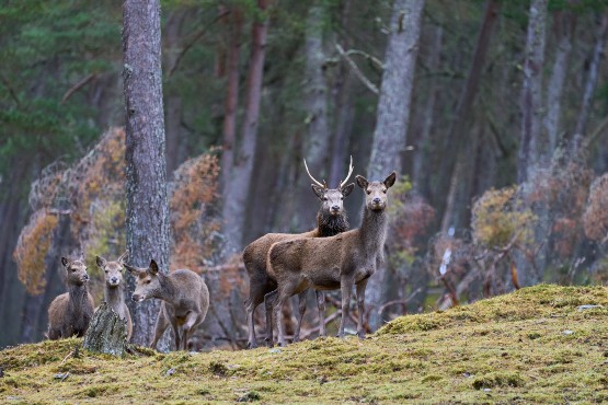 November Almanac 2025