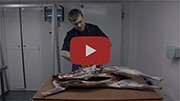 Online Butchery Skinning Course Trailer 180px