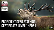 Thinking About a Deer Stalking Qualification? Watch This First