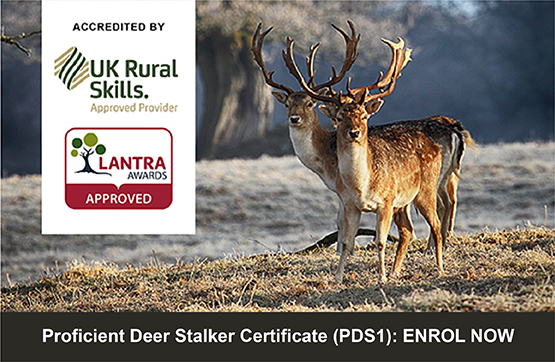 Proficient Deer Stalker Certificate ENROL