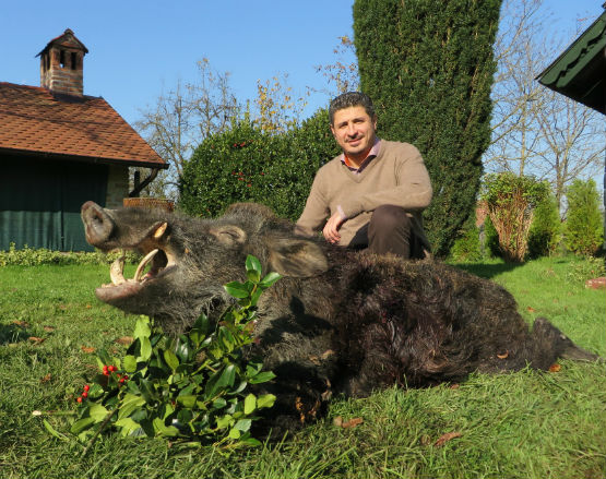 Rami Croatian Boar