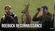 How Professional Guides Find Roebuck