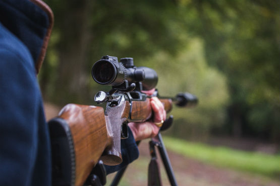 Sauer Rifle close up