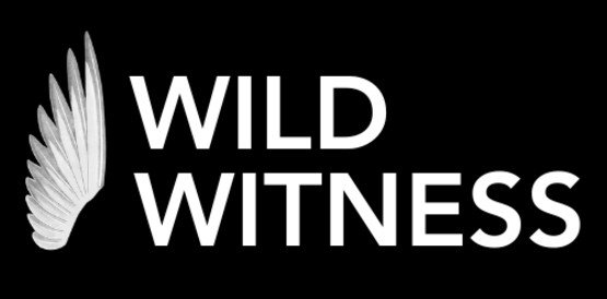 Wild Witness