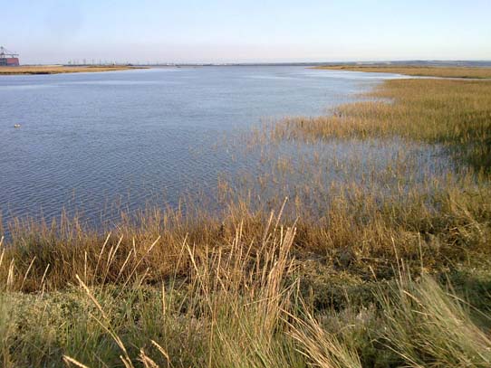 Wildfowling Article Image