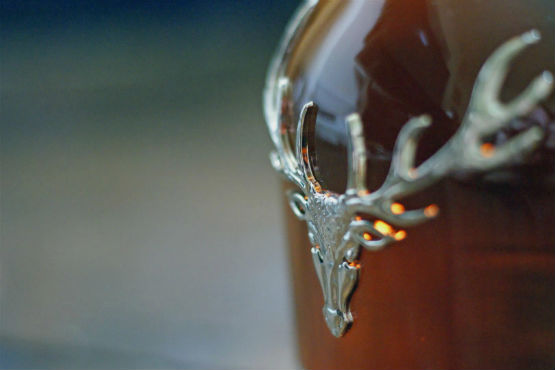 dalmore555