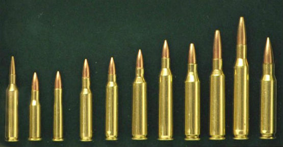 Rifle Caliber Chart Smallest Largest